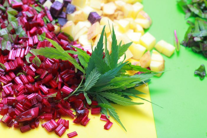 raw cannabis salad