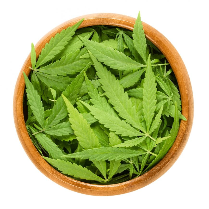 Cannabis Leaves in a bowl