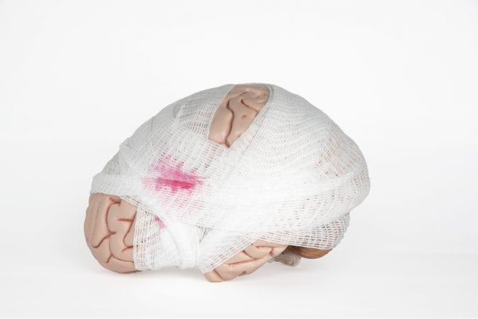 Gauze Wrapped Brain