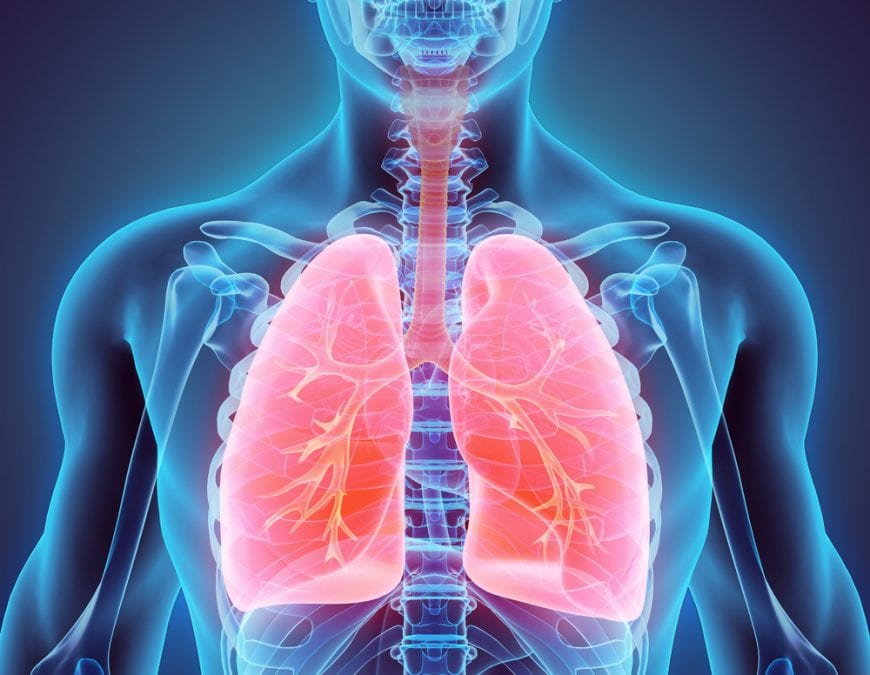 animation of healthy lungs