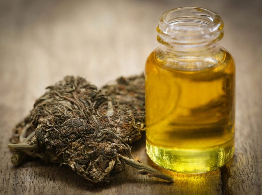 cannabis oil next to bud biovailability