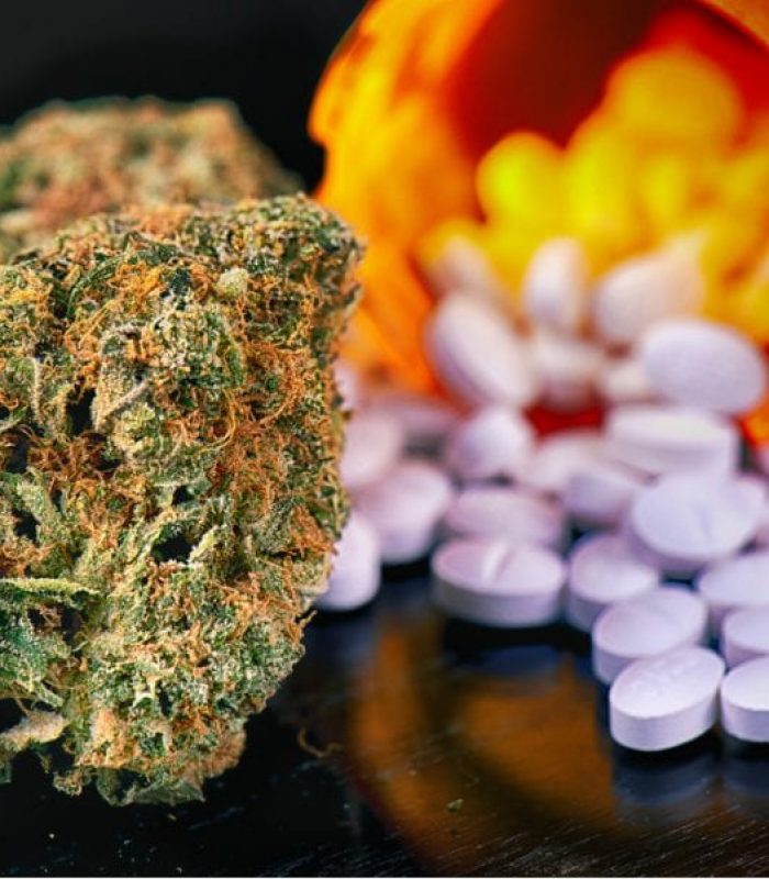Cannabis Legalization Reduces Opioid Prescriptions