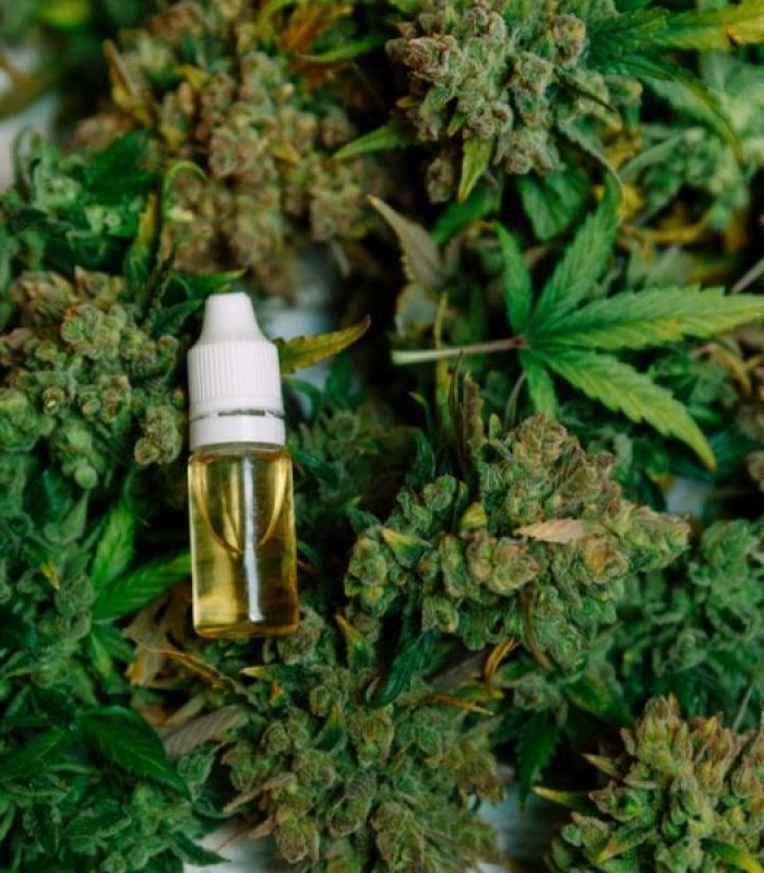 Synthetic and Natural Terpenes Are Big Medicine For Cannabis