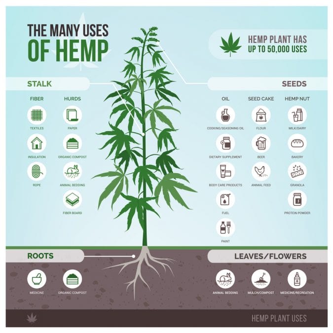 Uses of hemp meme