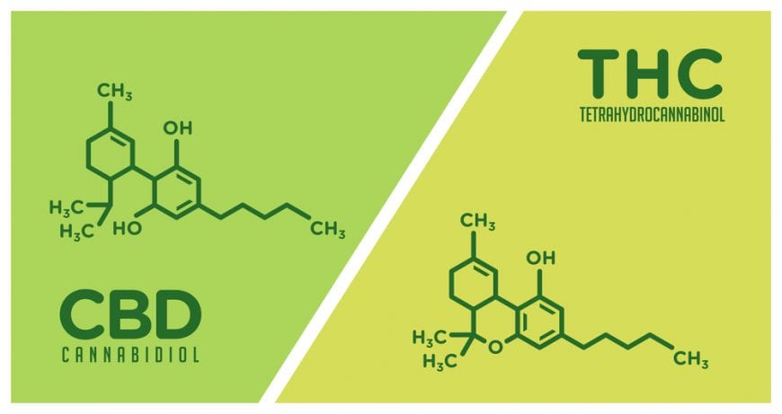 Chemical Structure of THC and CBD