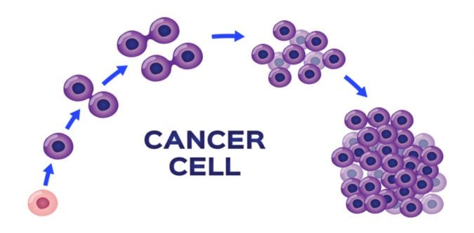 Cancer cell growth