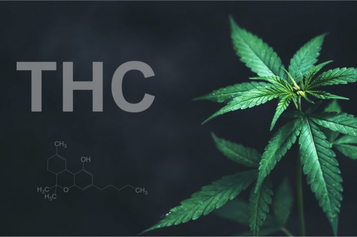 The Importance of THC in Cannabis for Patients