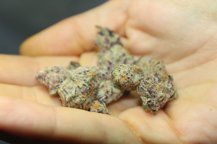 Purple Weed is Legendary, But is it Real?