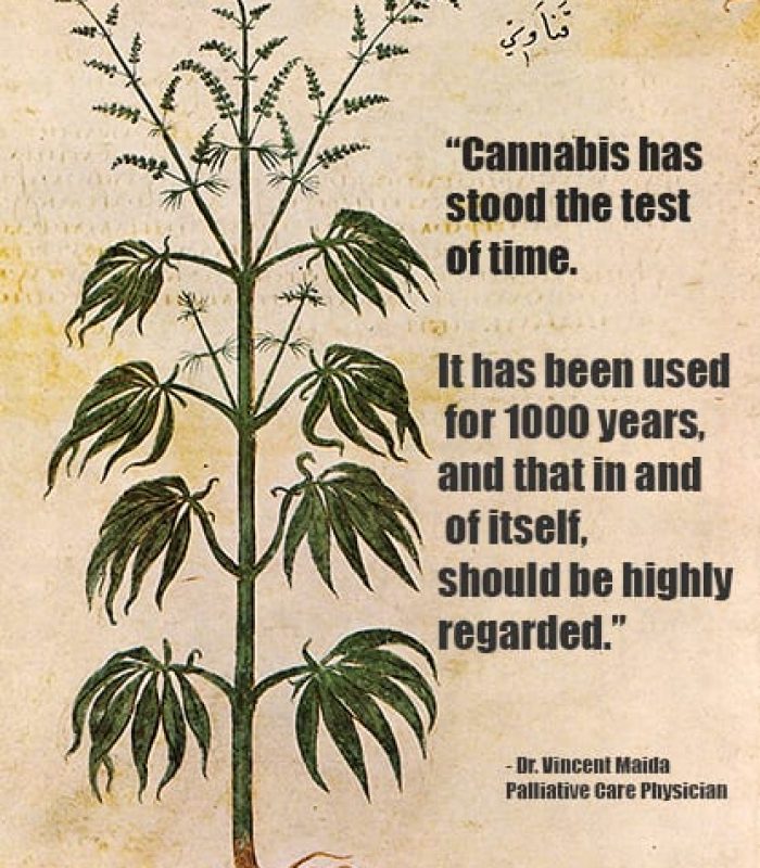 From Pre-Recorded History to Modern Research, Cannabis Has Had Quite the Ride