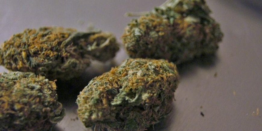 RxLeaf