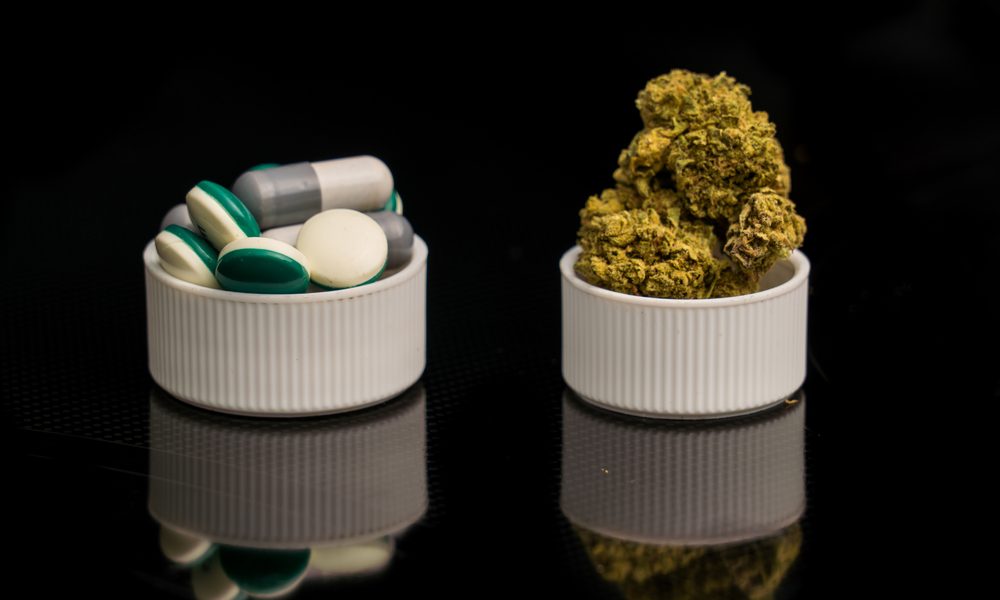 photo of Study Shows Cannabis and Opioids Can Work Together image