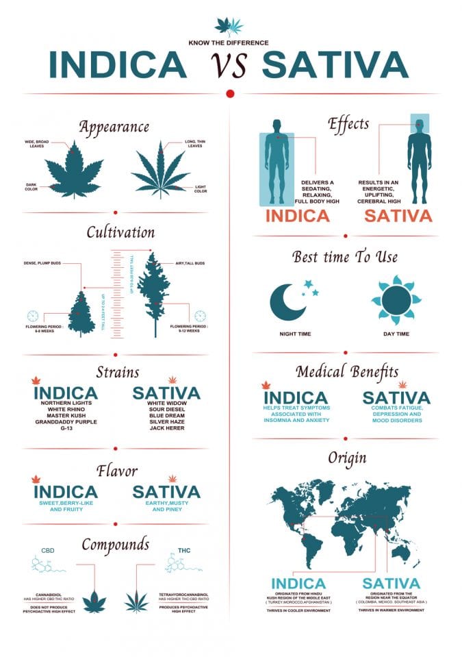 cannabis, sativa, indica, hybrids, cannabinoids, relaxed, energized, strains, medical cannabis, effects, dispensaries, budtenders
