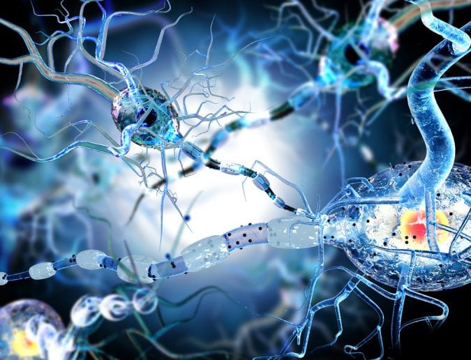 endocannabinoid system, cannabis, inflammation, anti-inflammatory, cannabinoids, neurodegenerative disease, neuroprotectant, brain disease, CB1, CB2