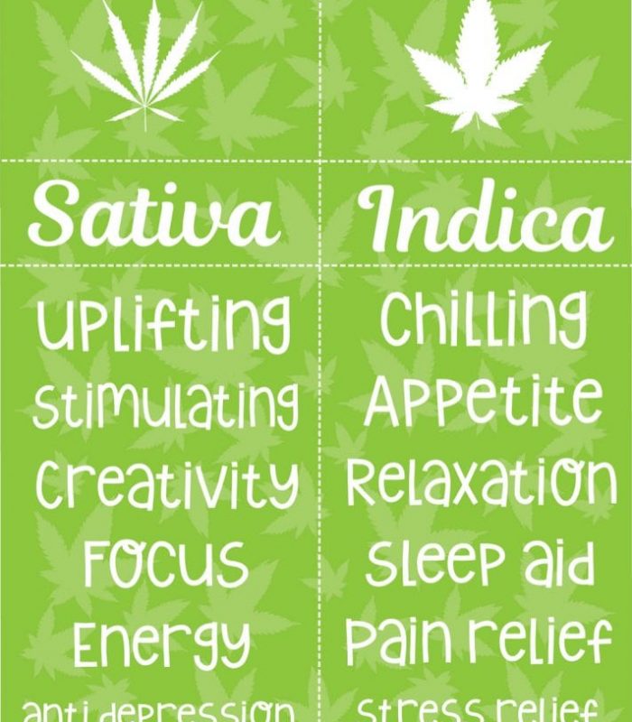Sativa and Indica are not so Much Categories as Guidelines