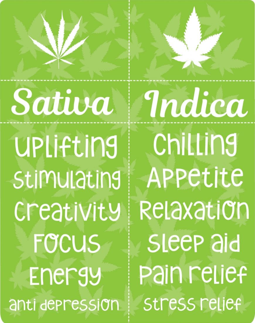 RxLeaf