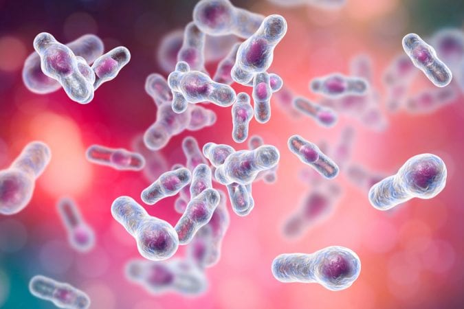 cannabis, c.difficile, medical cannabis, CBD, THC, cannabinoids, antibiotics, viruses, illnesses, hospitals
