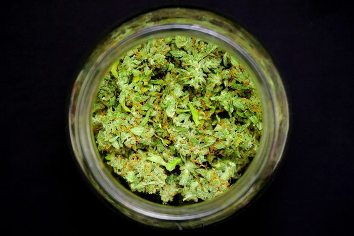 cannabis in jar for summer rolls