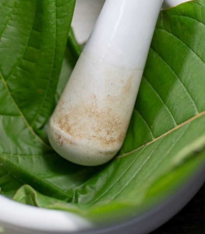 Can Kratom Beat Out Cannabis For Helping Patients Break Opioid Addiction?