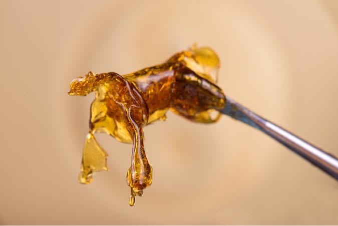cannabis, cannabis oil, hash extract, butane, risk, cannabinoids, legalization, USA, Canada, hash oil, resin