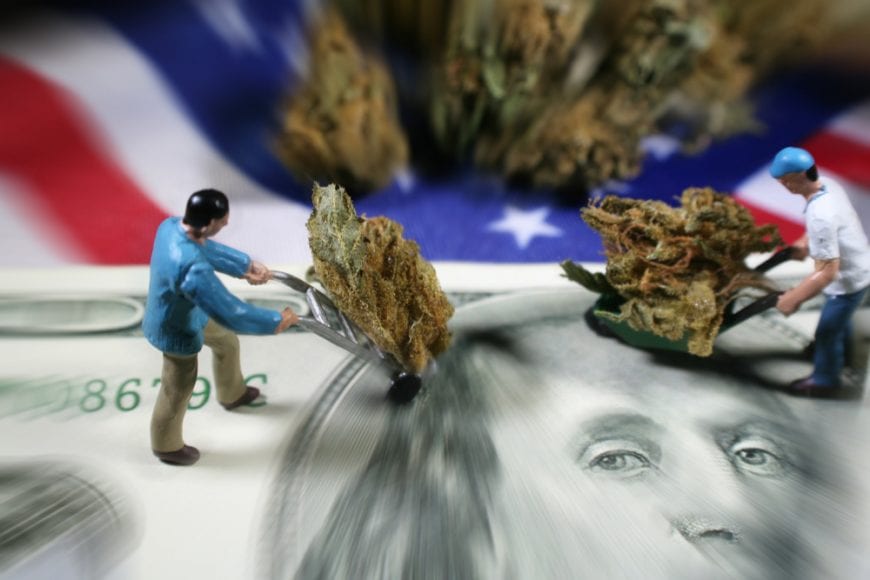 RxLeaf
