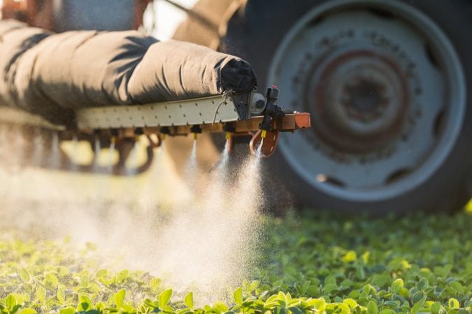 cannabis, pesticides, agricultures, mold, mildew, pests, USA, Canada, legalization, health, medical cannabis, recreational cannabis