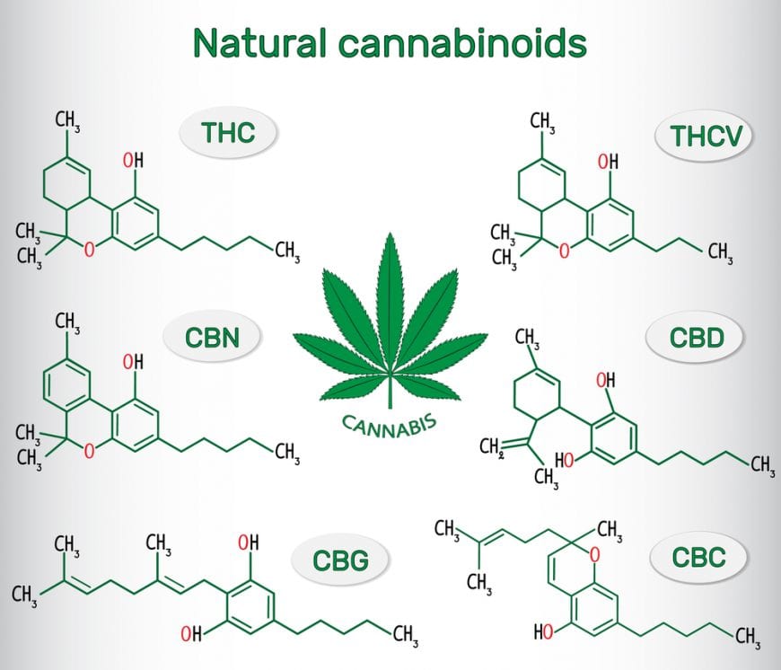 cannabis, cannabinoids, sleep, CBD, THC, endocannabinoid system, entourage effect, research, sleep schedule, legalization