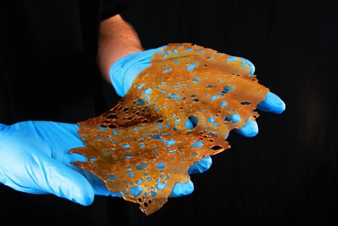 cannabis, extraction, butane, risk, explosion, CBD oil, hash extract, USA, Denver, cannabinoids