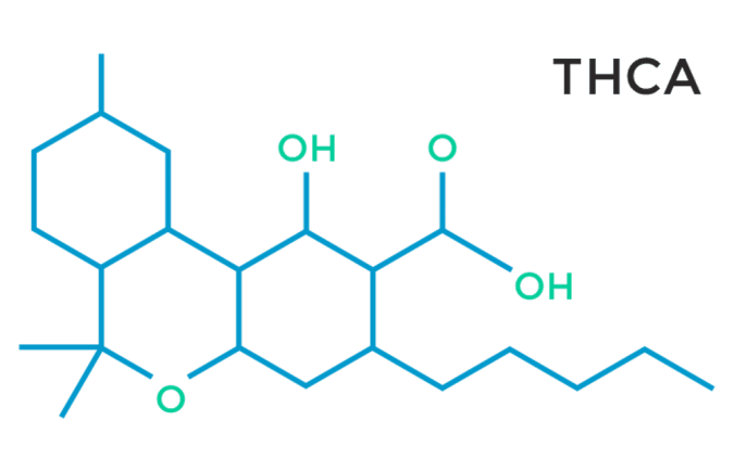 cannabis, medical cannabis, THC, THCA, GPR55, CB receptors, CB1, CB2, endocannabinoids, cannabinoids, endocannabinoid system, research, neurotransmitters, inflammation, USA, Canada