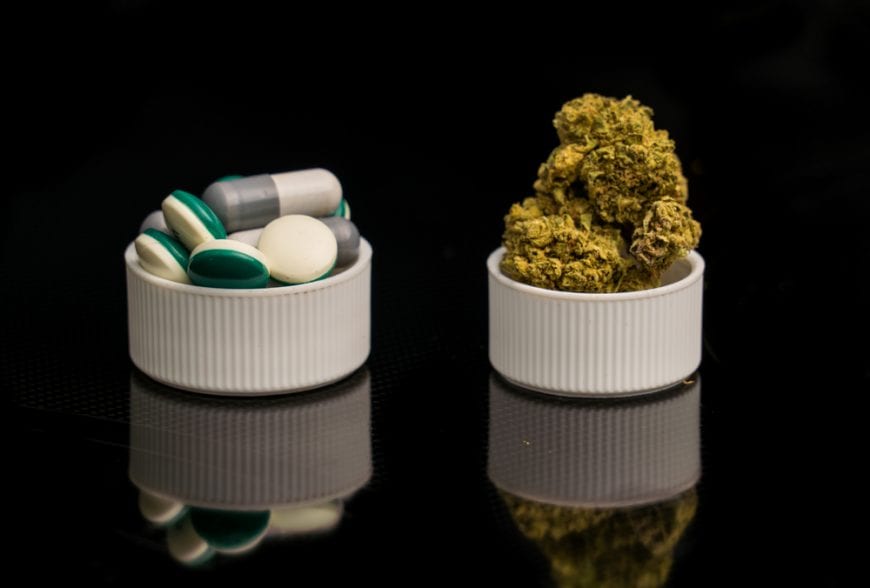RxLeaf