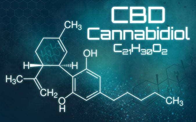 cannabis, CBD, THC, cannabinoids, endocannabinoid system, neurotransmitters, brains, neurons, legalization, medical cannabis