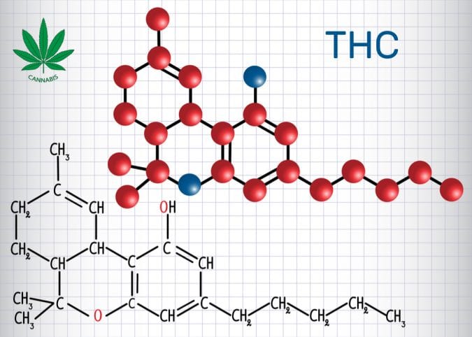 cannabis, THC, THC molecules, CBD, cannabinoids, endocannabinoid system, CB receptors, brains, neurotransmitters, legalization, medical cannabis