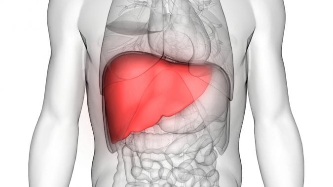 cannabis, cannabinoids, liver, stomach acid, THC, CBD, endocannabinoid system, CB receptors, medical cannabis, sublingual, research