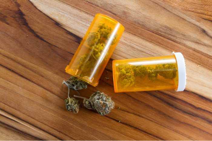 cannabis buds in prescription bottles