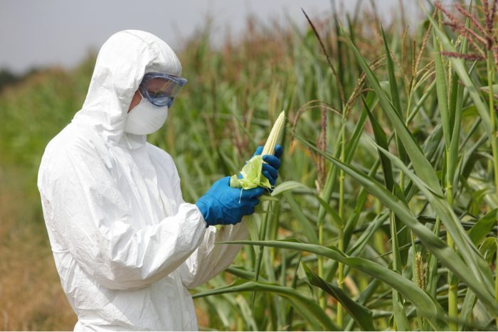 man in hazmat suit spraying crops of GMO cannabis