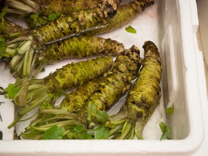 Wasabi Root