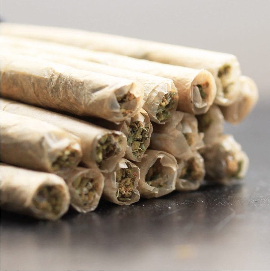 cannabis, sativa, indica, opium, substance abuse, pain, pain relief, medical cannabis, inflammation, CBD, THC