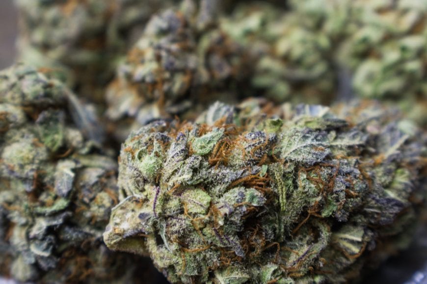 Medicate cannabis buds