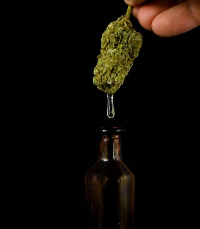 Which CBD Oil Is The Right One?