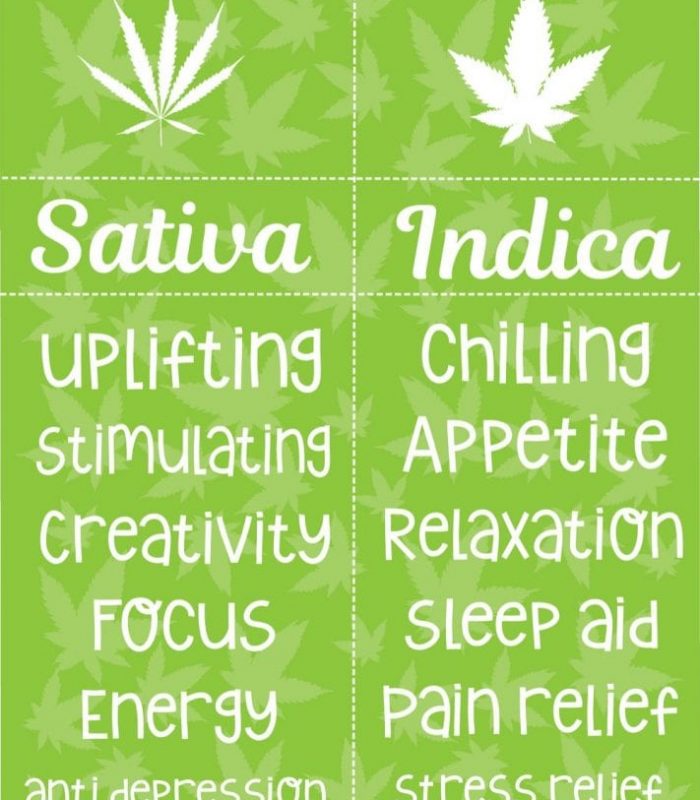 Indica Vs Sativa: Does it Mean Anything?