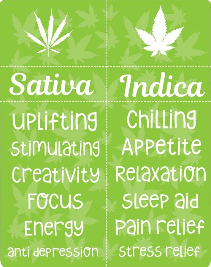 Sativa Vs Indica Chart