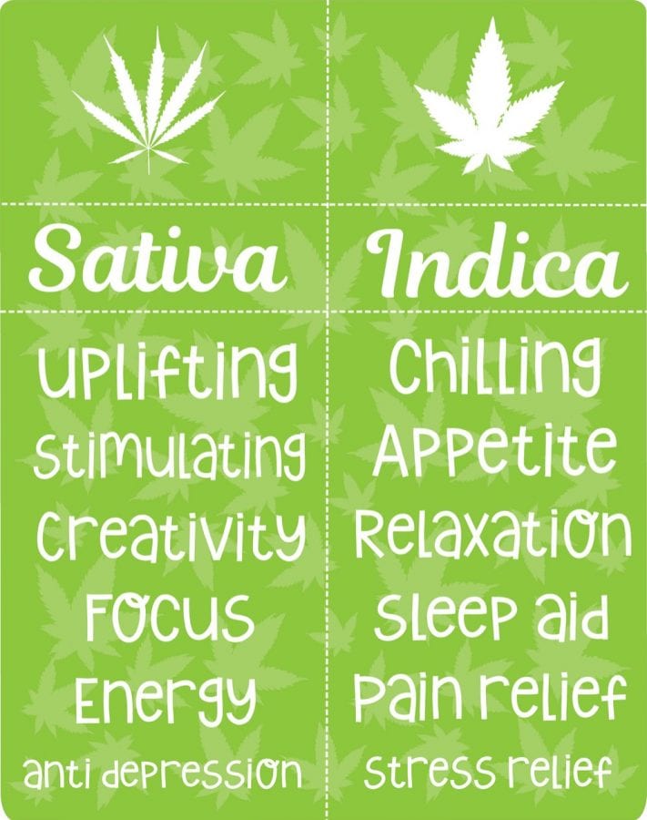 Sativa Indica Strain Chart