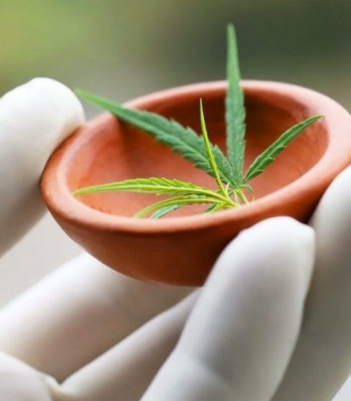 Human Clinical Trial On Cannabis And Cancer