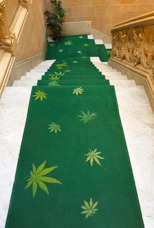 cannabis museum carpet