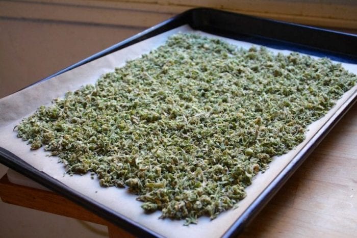 cannabis bud laid out on a tray for decarboxylation