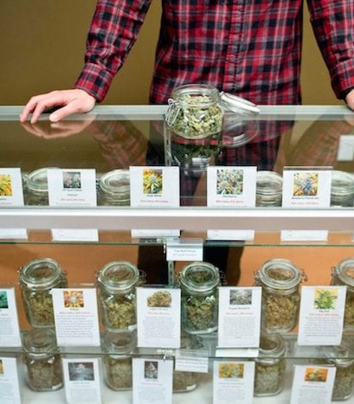 Budtender: How to Know You’ve Found a Good One