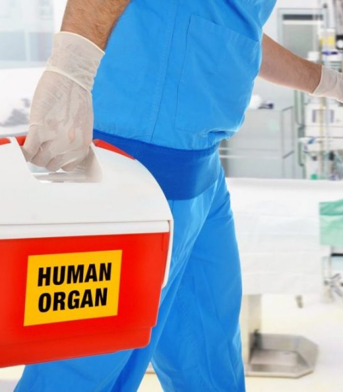 Phase II Clinical Trial Says CBD May Help Organ Transplant Outcomes