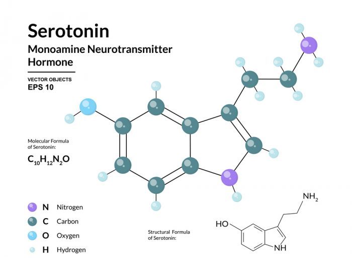 monoamine neurotransmitters, serotonin, SSRIs, endocannabinoid system, cannabinoids, CB receptors, CBD, THC, cannabis, medical cannabis, depression, antidepressants