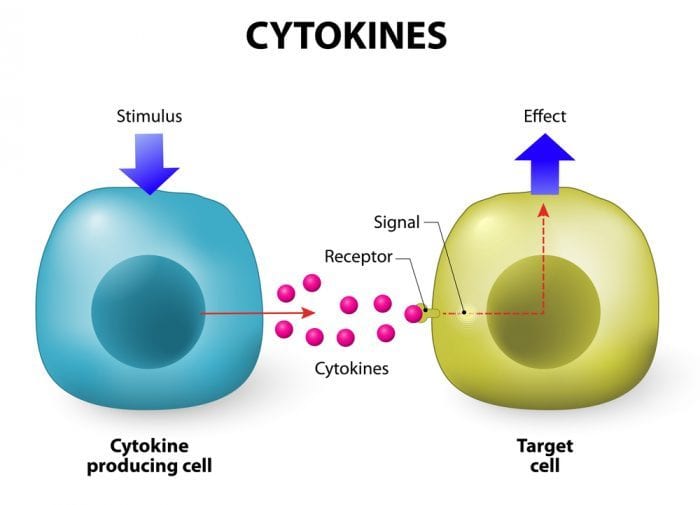 inflammation, cannabis, medical cannabis, CBD, THC, THC stronger than aspirin, terpenes, anti-inflammatory response, cytokines, immune system, autoimmune disorder, chronic inflammation