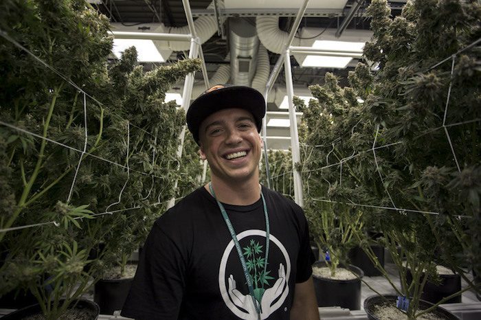 weed millionaire, Joshua Haupt, cannabis, epilepsy, seizures, CBD, THC, cannabinoids, alternative medicine, pharmaceuticals, grow op, Colorado