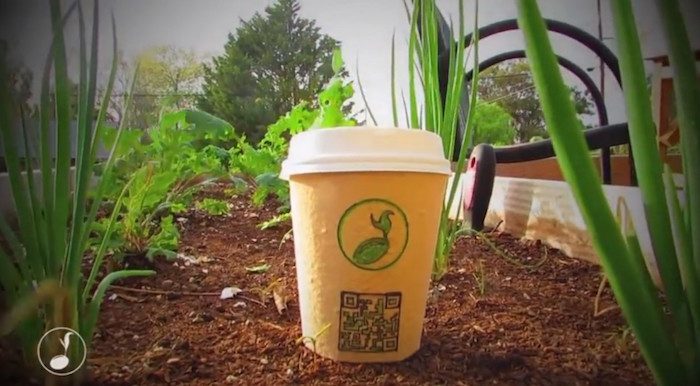 plantable cup, trash, eco-friendly, sustainability, seeds, ecosystem, California, Alex Henige, USA, compostable, coffee cups, landfills, plastics, styrofoam